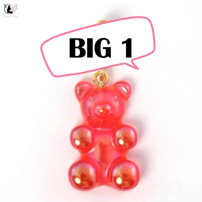 BIG BEAR-DIY your teddy bear treasure hunt - Image 2