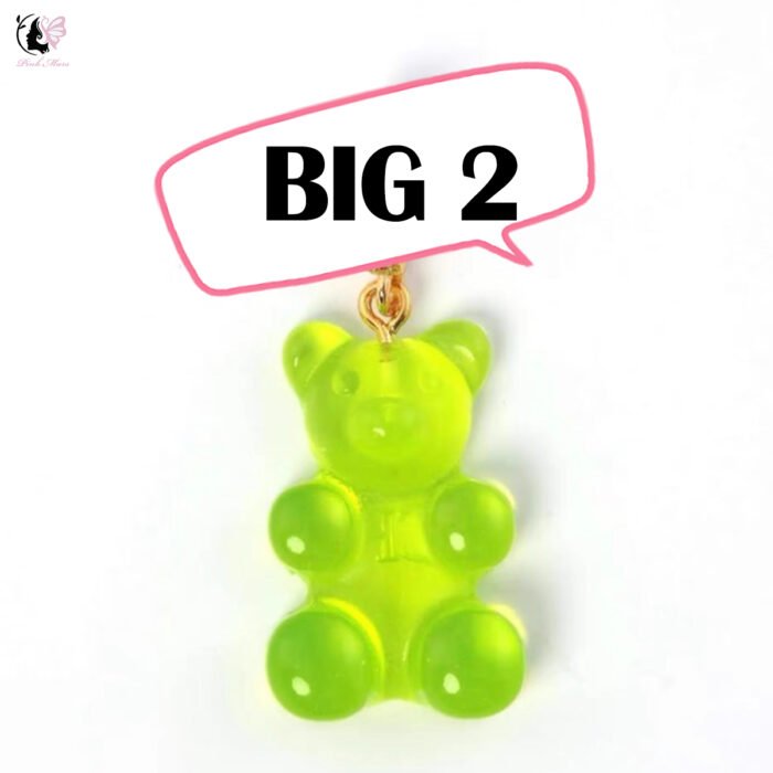BIG BEAR-DIY your teddy bear treasure hunt - Image 3
