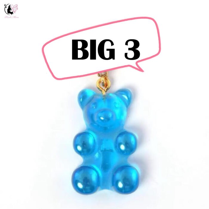 BIG BEAR-DIY your teddy bear treasure hunt - Image 4