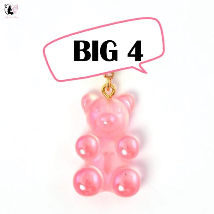 BIG BEAR-DIY your teddy bear treasure hunt - Image 5