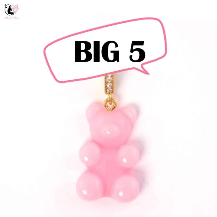 BIG BEAR-DIY your teddy bear treasure hunt - Image 6